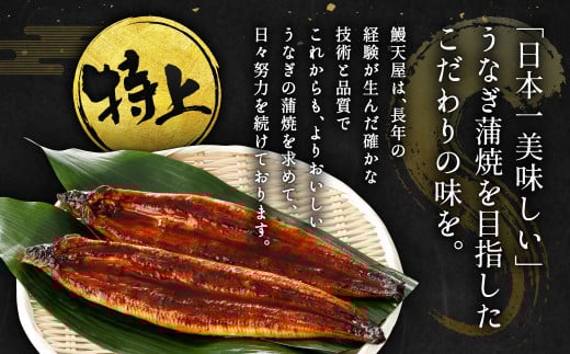 九州産 うなぎ 蒲焼 特上4尾 計880g以上 (1尾あたり220～235g)