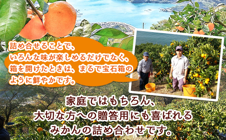 ＜愛媛県明浜産 旬の柑橘 宝石箱（3種類以上詰め合わせ）約7kg＞温州みかん ポンカン イヨカン はるか 紅ハッサク ネーブル せとか 不知火 デコポン 清見 紅甘夏 ブラッドオレンジ 宇都宮農園 西