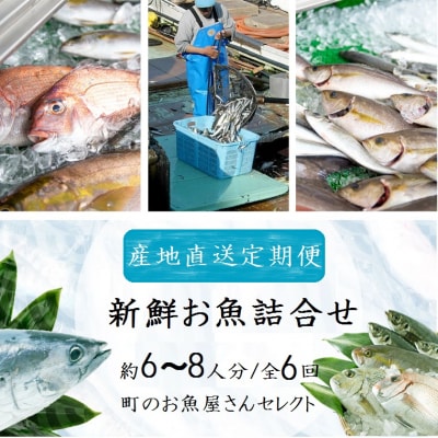 【6回定期便】魚屋さんの選んだ新鮮お魚詰め合わせ(約6~8人分)　E09001