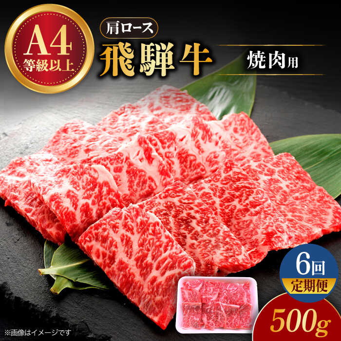 【ふるさと納税】【6回定期便】 飛騨牛 焼肉用 ロース・肩ロース 500g A4等級以上 多治見市 / 渡辺精肉店 和牛 ブランド牛 牛肉[TAZ032]