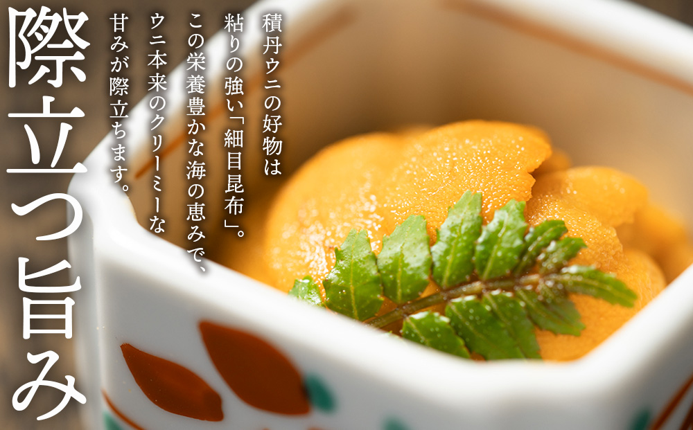 【2026年夏発送分】 ムラサキウニ 2パック 大川商店
