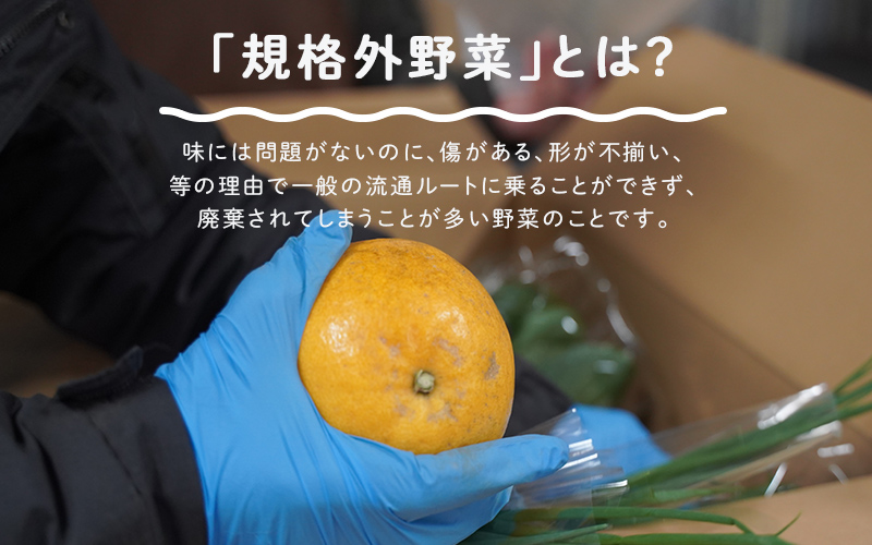 多数のメディアで紹介されました！【訳あり】旬のもったいないお野菜詰め合わせセット Lサイズ
