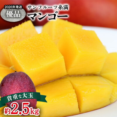 【ふるさと納税】【2026年発送】サンフルーツ糸満マンゴー貴重な大玉 優品　約2.5kg 産地直送 先行予約 フルーツ 果物 くだもの アップルマンゴー アップル アーウィン種 濃厚 デザート 贅沢 旬の果物 甘い おすすめ プレゼント 贈答 冷蔵 国産 沖縄 沖縄県産