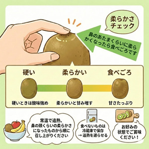 阿武町産 キウイ 訳ありヘイワード（2.5kg）