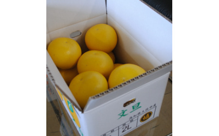 老舗中華料理店の土佐文旦 家庭用（Ｌ～4Lサイズ）約10kg 高知県土佐市 【嬉龍】 [BQAY004]