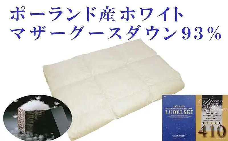 羽毛肌掛け布団 シングル ポーランド産マザーグース93％ ダウンパワー410 羽毛布団【BE011】