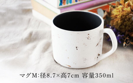 【美濃焼】SHIKKUI マグM/プレートセット マットブラック 2セット【marushin-pottery 丸新製陶】[MAM110]