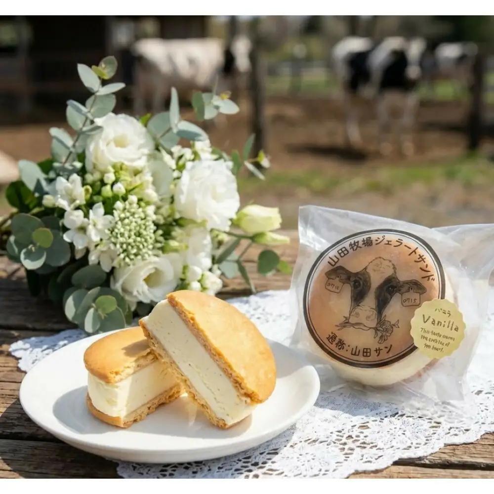 山田牧場ジェラートサンド　15コ入り