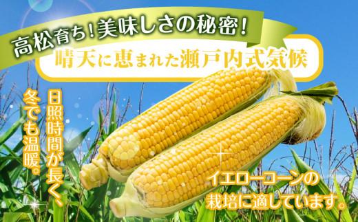 ＼寄附額改定／瀬戸内イエローコーン 約3kg【2026-6月上旬～2026-7月中旬配送】