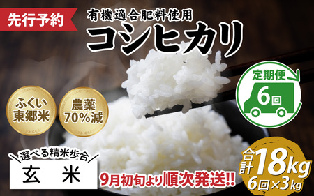 【玄米】【定期便6ヶ月連続】令和6年産 新米 ふくい東郷米 特別栽培米 農薬70％減 コシヒカリ 3kg×6ヶ月 合計18kg[E-020022_02]