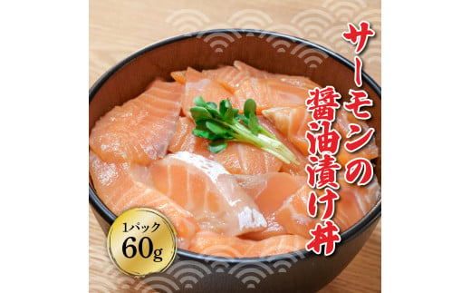 土佐の海鮮漬け丼（サーモン・まぐろ）各10袋セット 1パック60g 漬け丼 海鮮丼 マグロ丼 サーモン丼 鮪 まぐろ おかず  魚介類 海鮮　お取り寄せ