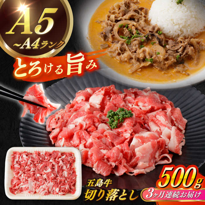 【ふるさと納税】【全3回定期便】【幻の和牛を様々なお料理で！】 五島牛 切り落とし 約500g 3～4人前 小分け 国産 和牛 肉 にく 牛肉 牛 和牛 切り落とし 五島牛 A4 A5 すき焼き しゃぶしゃぶ 焼肉 カレー 牛丼 高級 定期便 長崎和牛 【カミティバリュー】 [RBP076]