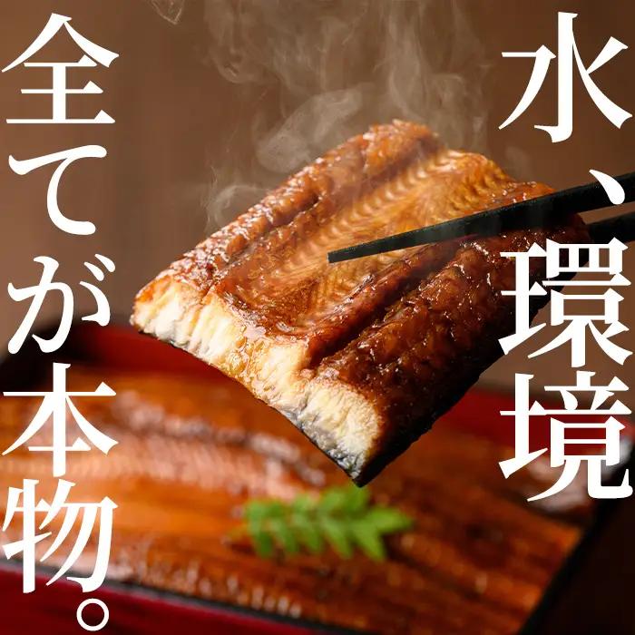 ＜定期便・全3回＞東串良町 うなぎ 蒲焼 (無頭)(2尾・計約300g・タレ、山椒付×3回) 高級 ウナギ 鰻 国産 たれ 鹿児島 ふるさと 人気【アクアおおすみ】【0304303b】