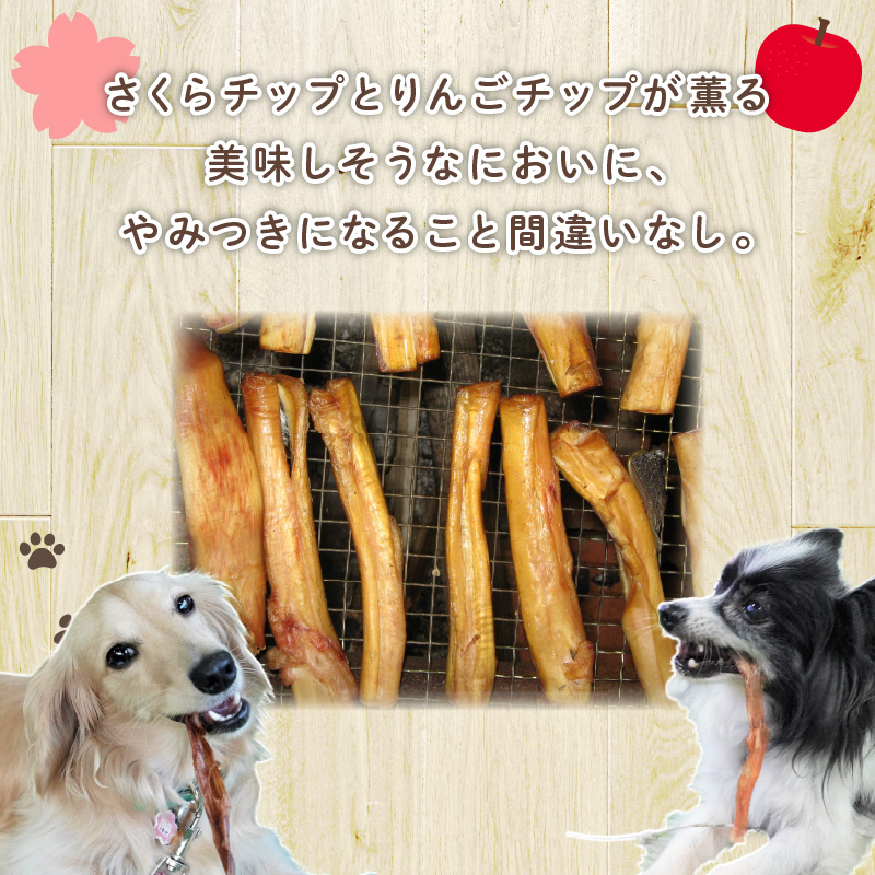 【獣医師手作り】無添加 ペット用 アキレスくんせい お試しセット（計70g） お試し 少量 ジャーキー ストレス解消 歯磨き効果 燻製 犬 猫 やみつき おやつ ご褒美 馬肉アキレスを使用 H191-