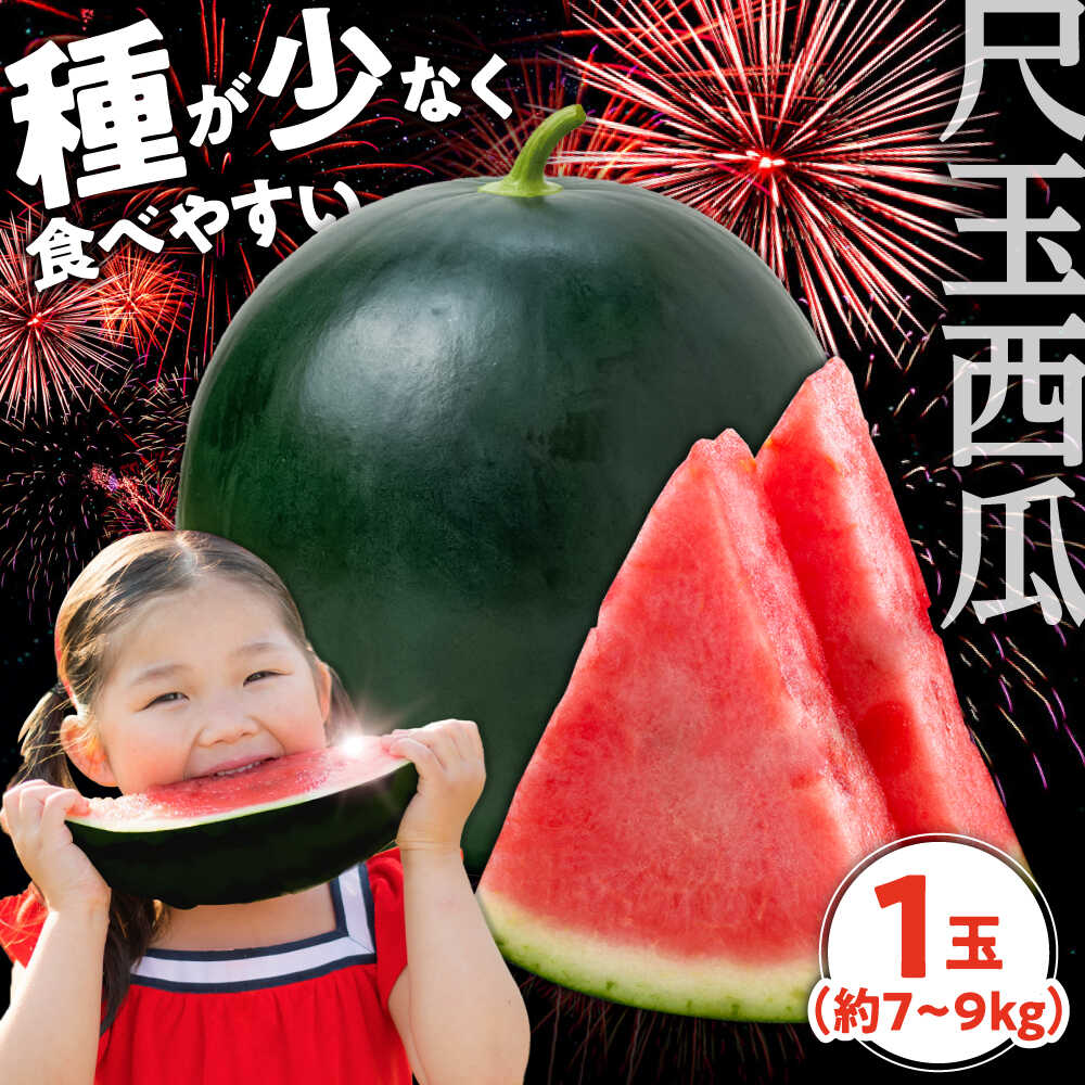 【ふるさと納税】【先行予約・7月以降発送】尺玉西瓜 大玉 1玉（約7kg〜9kg） 日田市 / JAおおいた スイカ ブラックジャック すいか 種なし 西瓜 種無し 尺玉スイカ 黒スイカ 果物 フルーツ[AREW001]