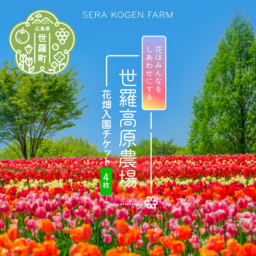 【ふるさと納税】花畑入園チケット 4枚《世羅高原農場》しだれ桜 チューリップ ひまわり ダリア ガーデンマム 観光 農園 A041-10