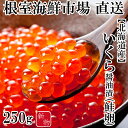 【ふるさと納税】いくら醤油漬け(秋鮭卵)(新物)250g×1P A-14253