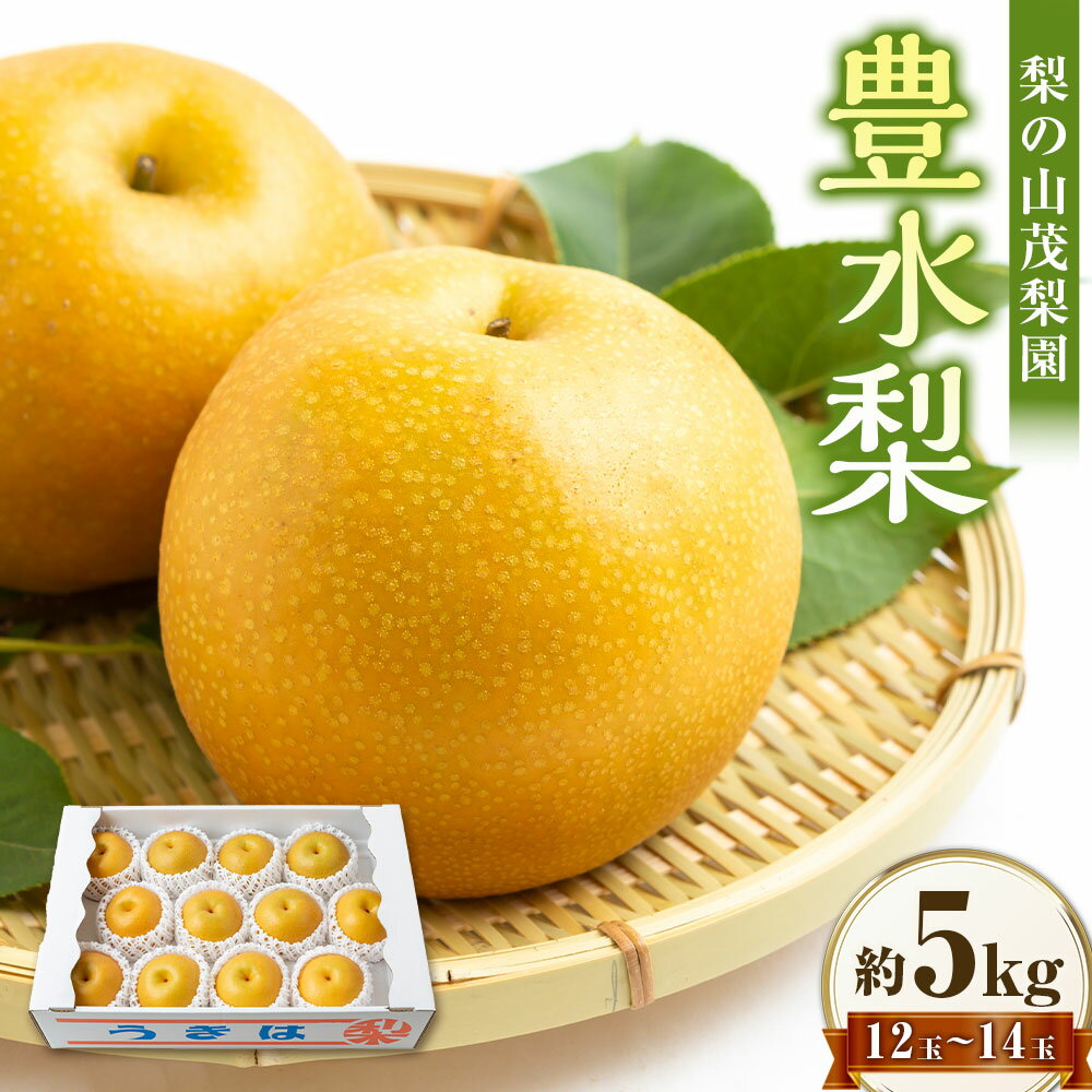【ふるさと納税】 【先行予約】梨の山茂梨園 豊水梨12玉から14玉 （約5kg） 【2026年8月下旬～9月上旬より順次発送予定】 梨 なし ナシ 豊水 ほうすい フルーツ 果実 果物 常温 送料無料 福岡県 うきは市