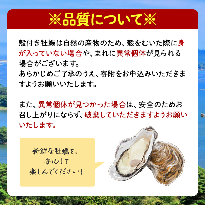 松島牡蠣屋 殻付き牡蠣（生食用） 2kg  生牡蠣 宮城県産 牡蛎 牡蠣 カキ オイスター カキフライ 牡蠣鍋 海鮮 国産 魚貝類 【菊地水産合同会社】tm745