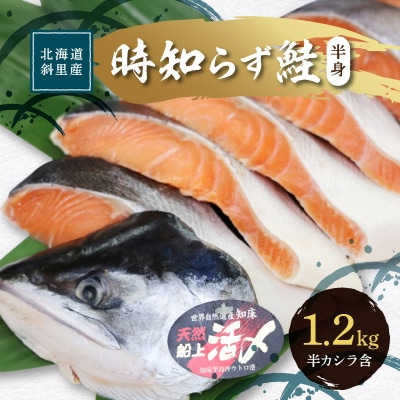 
先行受付 活〆 時知らず鮭 切り身 中塩仕込 天然 半身 1200g 魚体3kg以上 小分け【1278454】
