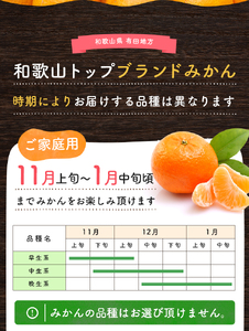 有田育ちのご家庭用完熟 有田みかん 2.2kg ※2024年11月上旬～12月下旬頃に順次発送【ard201】