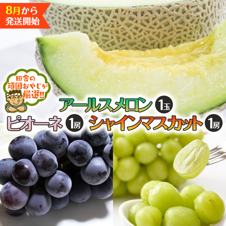 アールスメロン 1個 シャインマスカット 1房 ピオーネ 1房【2026年8月発送開始】田舎の頑固おやじが厳選！ メロン マスカット 種なし ぶどう ブドウ 葡萄 ギフト 高糖度 大粒 甘い フルーツ