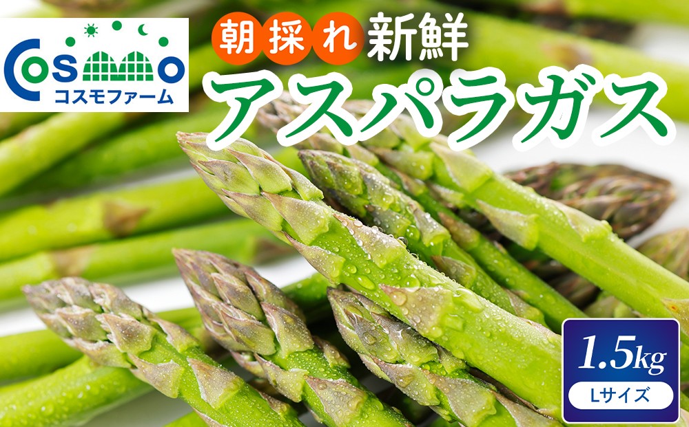 
                  朝採り新鮮アスパラガス 1.5kg【Lサイズ】 | 野菜 アスパラガス グリーンアスパラ 旬 とれたて  春野菜 春 朝採り 朝採れ とれたて 新鮮 みずみずしい サラダ 甘い お取り寄せ 産地直送 冷蔵 岐阜県 瑞穂市
                