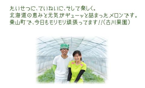 豊潤な香り「特選甘熟キングメロン」北海道産どっさり8.5kg!!