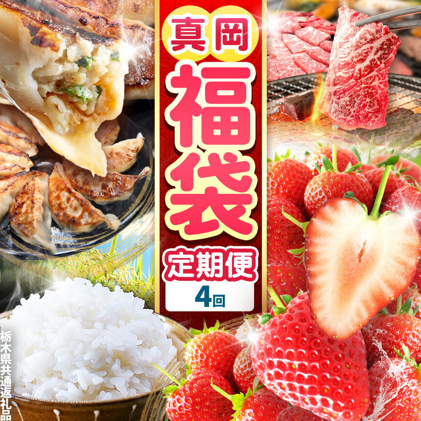 【ふるさと納税】真岡の グルメ 満載 定期便4回 | グルメ セット 定期便 豪華 数量限定 数量 限定 魅力 満載 いちご 餃子 米 こめ お米 ご飯 肉 A5栃木県 真岡市 送料無料