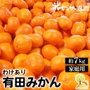 【ふるさと納税】＼光センサー選別／ 訳あり 有田みかん 約7kg 【ご家庭用】 和歌山県 温州みかん ※着日指定不可※北海道・沖縄・離島への配送不可※2024年11月中旬～2025年1月上旬頃に順次発送予定