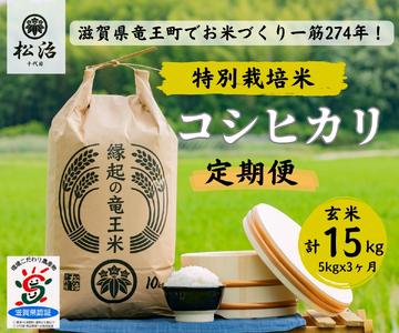 【 新米予約 】 定期便 3ヶ月 コシヒカリ 玄米 5kg 縁起の竜王米 ( 令和6年産 先行予約 新米 こしひかり ｺｼﾋｶﾘ こしひかり ｺｼﾋｶﾘ こしひかり ｺｼﾋｶﾘ こしひかり ｺｼﾋｶﾘ こしひかり ｺｼﾋｶﾘ こしひかり ｺｼﾋｶﾘ ) こしひかり ｺｼﾋｶﾘ こしひかり ｺｼﾋｶﾘ こしひかり ｺｼﾋｶﾘ こしひかり ｺｼﾋｶﾘ こしひかり ｺｼﾋｶﾘ こしひかり ｺｼﾋｶﾘ こしひかり ｺｼﾋｶﾘ こしひかり ｺｼﾋｶﾘ こしひかり ｺｼﾋｶﾘ こしひかり ｺｼﾋｶﾘ こしひかり ｺｼﾋ