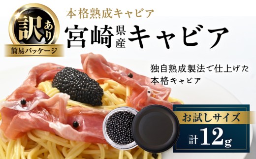 訳あり 本格熟成キャビア 宮崎県産キャビア 12g 魚卵 魚介 魚貝 国産 食品 加工品 チョウザメ おつまみ 世界三大珍味 黒いダイヤ 水産物 上質 ご褒美 お祝い 記念日 フレッシュ お土産 おすすめ パーティー グルメ 冷凍 送料無料_BD126-26