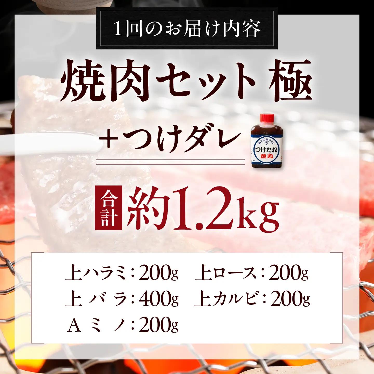 【6回定期便】焼肉セット 極 1.2kg 焼肉 BLCD012