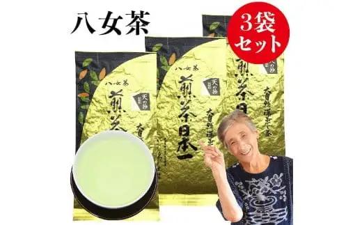 自社製造の深蒸しの八女茶！当園の最高級品！天の抄（てんのしょう）100g入り3袋入り 008-034