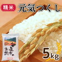 【ふるさと納税】元気つくし 5kg 精米 米 お米 コメ ごはん ご飯 おこめ こめ 白米 備蓄 長持ち 防災 夕食 晩ごはん 地震 緊急 避難 福岡 川崎