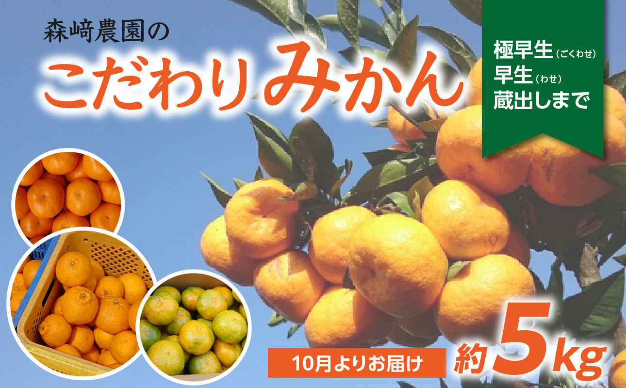 
森﨑農園のこだわりみかん　約5ｋｇ　極早生～早生～蔵出しまで みかん ミカン 蜜柑 極早生 大分 極早生みかん 蔵出しみかん 早生 果物 フルーツ おやつ 常温 甘み 産地 直送 C09023
