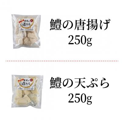 ふるさと納税 国東市 揚げたてが美味!豊後ハモの唐揚げ&天ぷら/0.5kg_0275N |  | 02