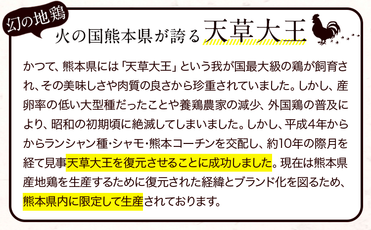 【幻の地鶏】天草大王半身燻製 1本入(約650g以上) 大海水産株式会社《45日以内に出荷予定(土日祝除く)》地鶏 鶏肉---sms_cadhk_45d_23_13000_650g---