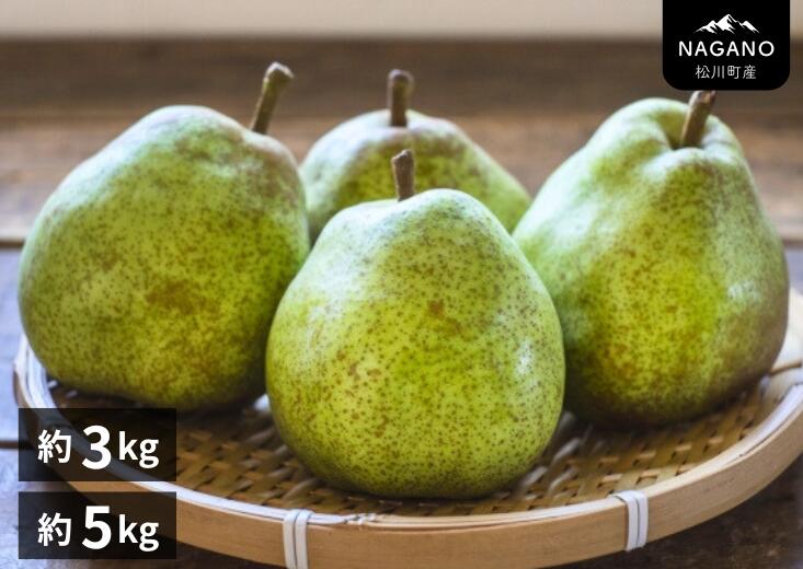 【ふるさと納税】洋梨 バラード 約3kg贈答品質 ／10月中旬頃から発送予定　長野県 南信州 松川町 洋梨 洋ナシ 洋なし バラード 産地直送 農家直送 農家支援 贈答 果物 西洋梨 フルーツ