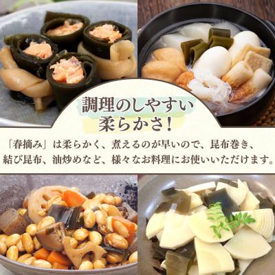 ふるさと納税 鹿部町 【北海道鹿部町産】白口浜真昆布 春摘み 100g(50g×2)SS36-3 |  | 02