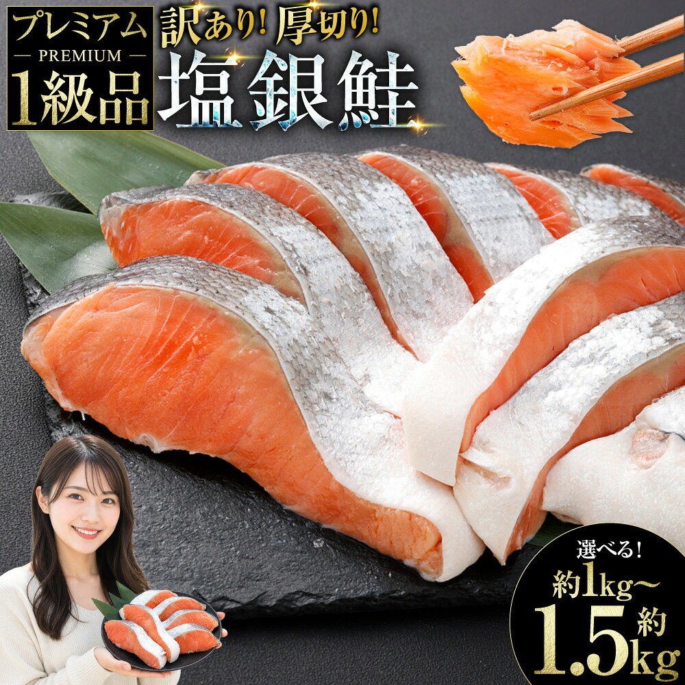 【ふるさと納税】圧倒的高評価★4.88 プレミアム1級品 厚切り塩銀鮭 切り身 1kg / 1.5kg【訳あり】【選べる 容量】楽天 銀鮭 鮭 さけ サケ しゃけ シャケ 厚切り 厳選 訳アリ 不揃い 魚介類 水産物 惣菜 おかず お弁当 切身 朝食 簡易包装 冷凍 北海道 釧路市 セレクション