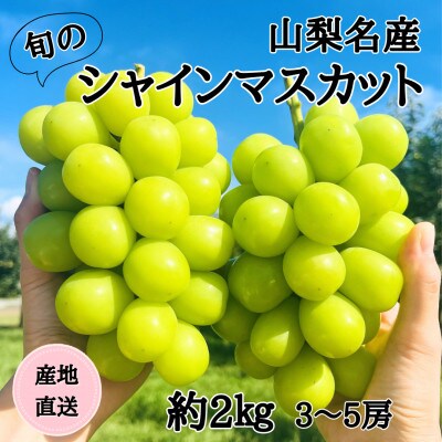 ◆2026年発送◆産地直送 山梨名産!旬のシャインマスカット 3～5房(約2kg)【配送不可地域：離島】