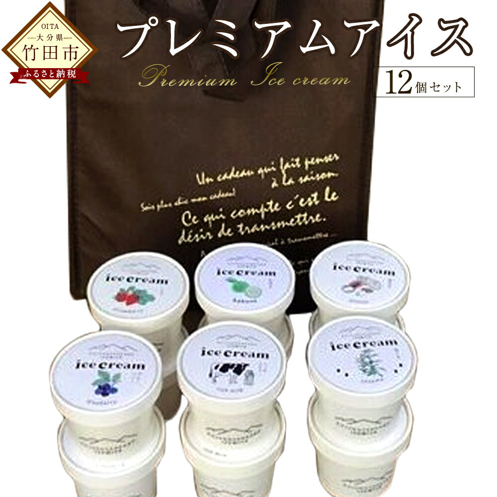 【ふるさと納税】プレミアムアイスクリーム 12個入りセット 保冷バッグ付き プレミアムミルク 黒胡麻 落花生 ブルーベリー いちご かぼす 各120ml×2個ずつ 合計12個 久住高原牛乳100% 無香料 無着色 保存料不使用 九州産 大分産 久住産 冷凍 送料無料