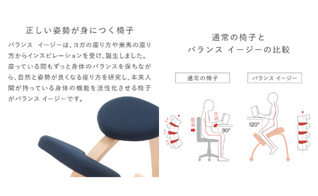 椅子 バランスイージー カバー付き 選べる カラー 椅子 ショートブラック＋ブラック