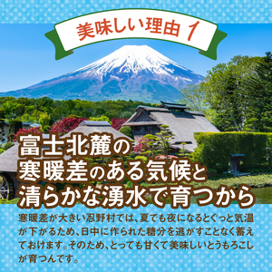 【2026年先行予約】富士北麓忍野村の気候、水、自然で作られた朝採りトウモロコシ《ゴールドラッシュ》4本～6本（約2.5kg）