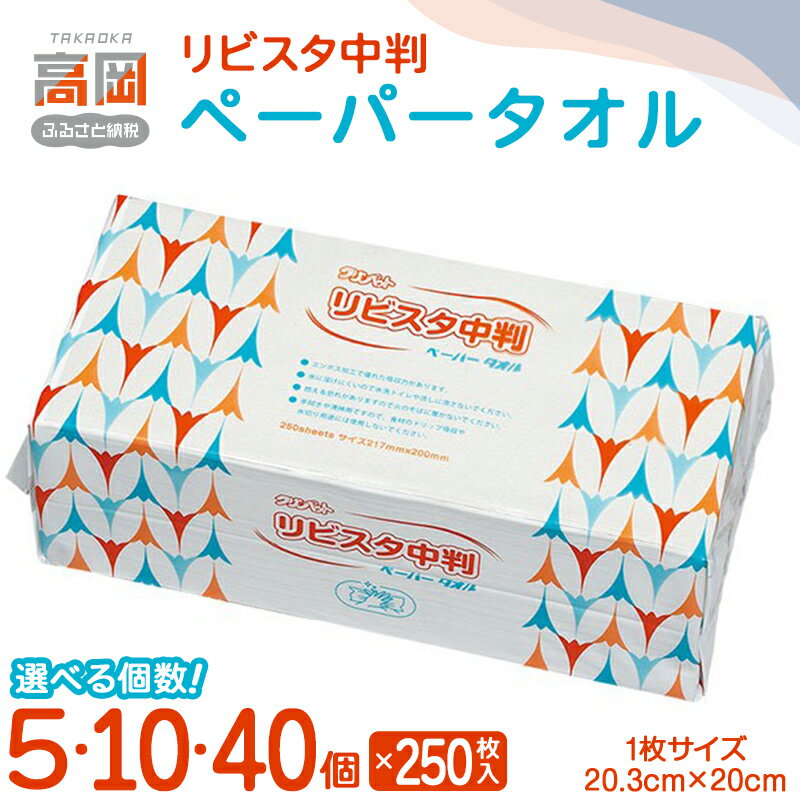 【ふるさと納税】リビスタ中判ペーパータオル250枚 《選べる個数》 5個・10個・40個 ペーパータオル 防災グッズ ティッシュ キッチンペーパー タオル FAD-1766var