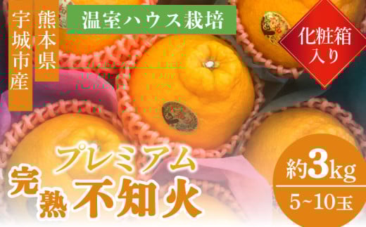 温室ハウス栽培 プレミアム 完熟 不知火（化粧箱入り）3kg 髙橋果樹園【2025年12月上旬から2026年1月下旬発送予定】しらぬい みかん ミカン 柑橘 宇城市産 高橋果樹園 しらぬい 柑橘 熊本県産 九州産 国産 送料無料