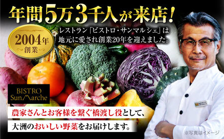 【全6回定期便】 【シェフの目線】　根菜×葉野菜 （6-7種）　少量食べきりセット　 野菜 果物 やさい 少量セット 食べきり[AGBX053]