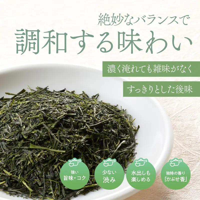 特上煎茶 清紹庵 100g（ 100g×1本 ） KN162-001-01 茶