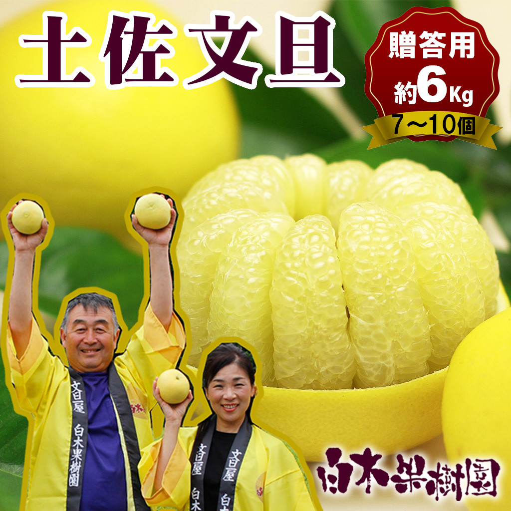 
【果樹園直送】土佐文旦約6kg　大玉・特大玉　3L～4L（7～10個）特選品贈答用　果物　柑橘　フルーツ　ぶんたん　ブンタン　分担　高知県土佐市　お取り寄せ 産地直送　おいしい 美味しい　返礼品　白木果樹園
